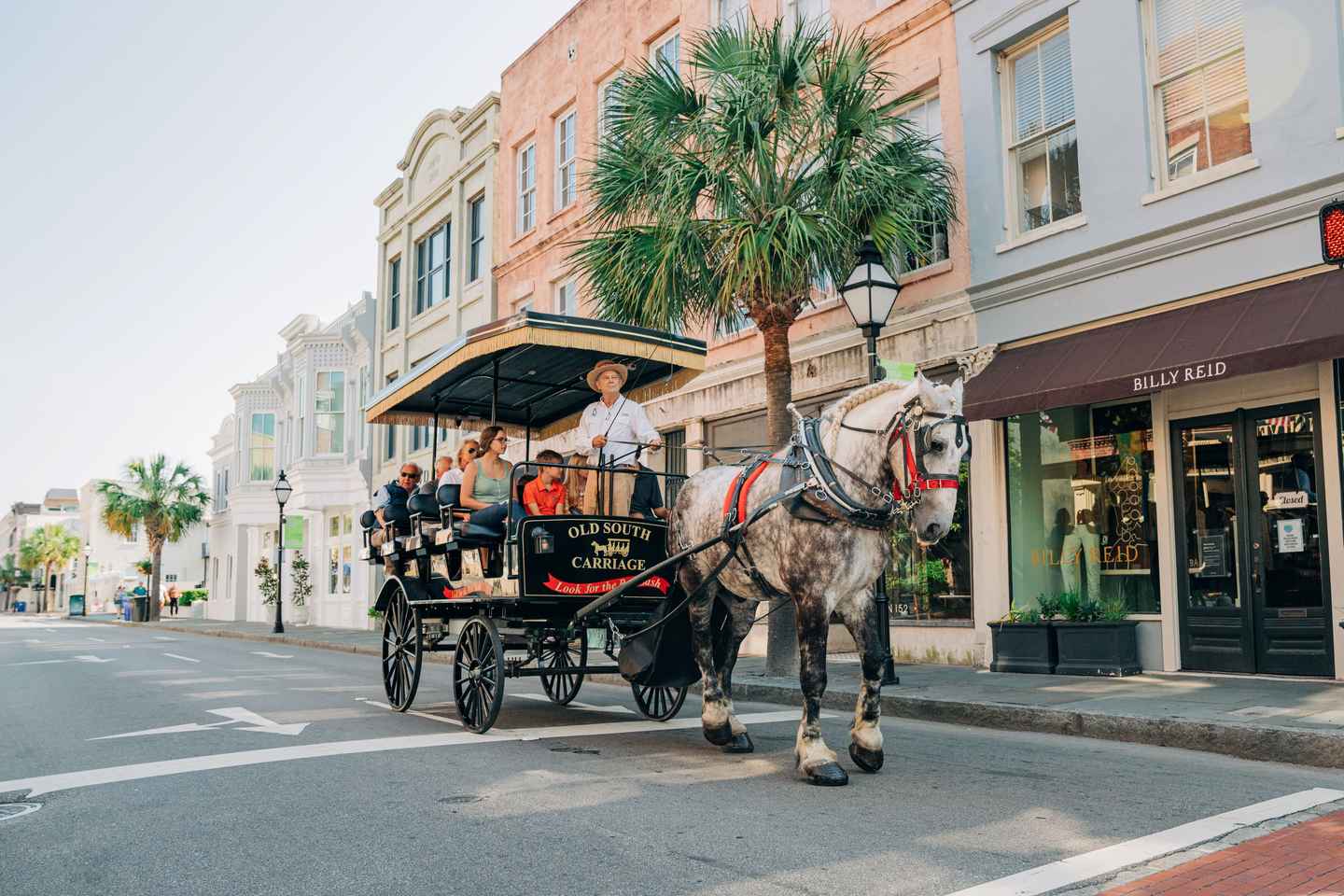 Charleston: Historical Downtown Tour by Horse-drawn Carriage thumbnail