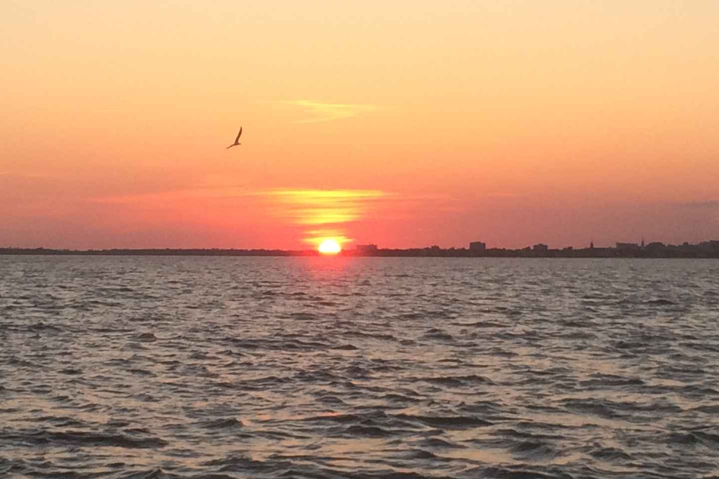 Charleston: Sunset Harbor Cruise thumbnail