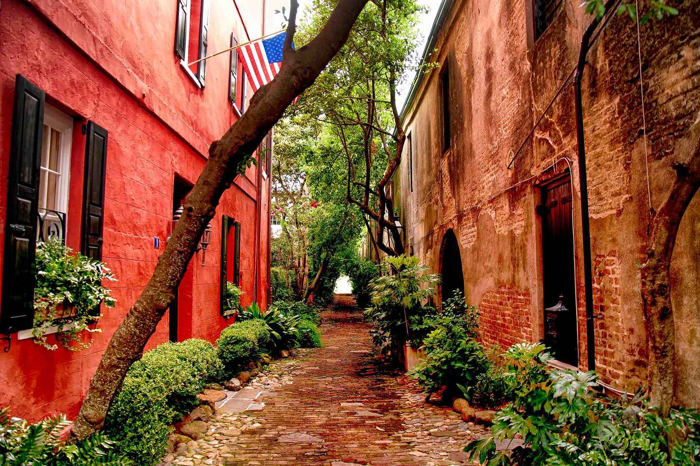 Charleston: History and Architecture Guided Walking Tour thumbnail